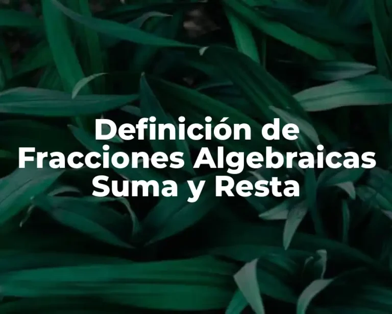 Definición de Fracciones Algebraicas Suma y Resta