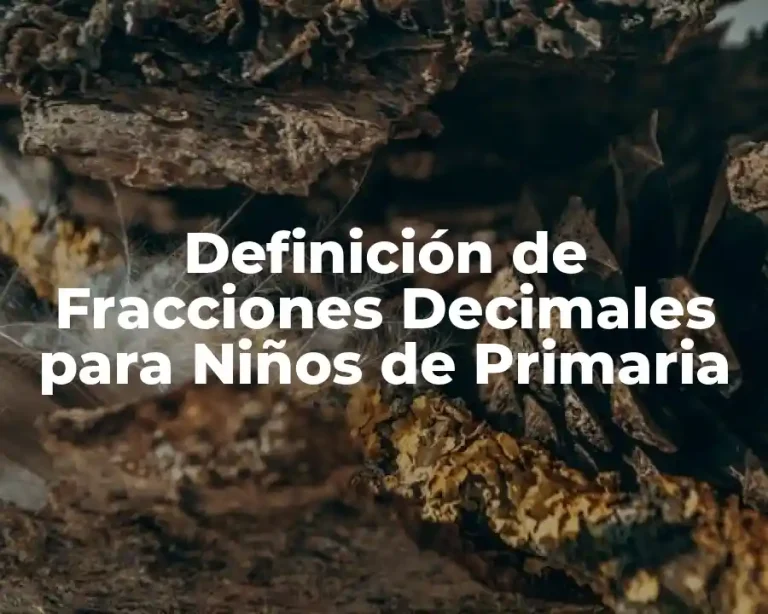 Definición de Fracciones Decimales para Niños de Primaria