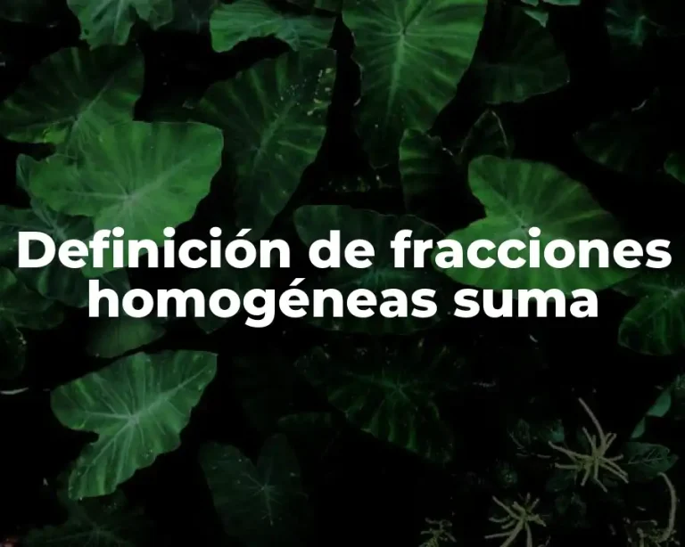 Definición de fracciones homogéneas suma