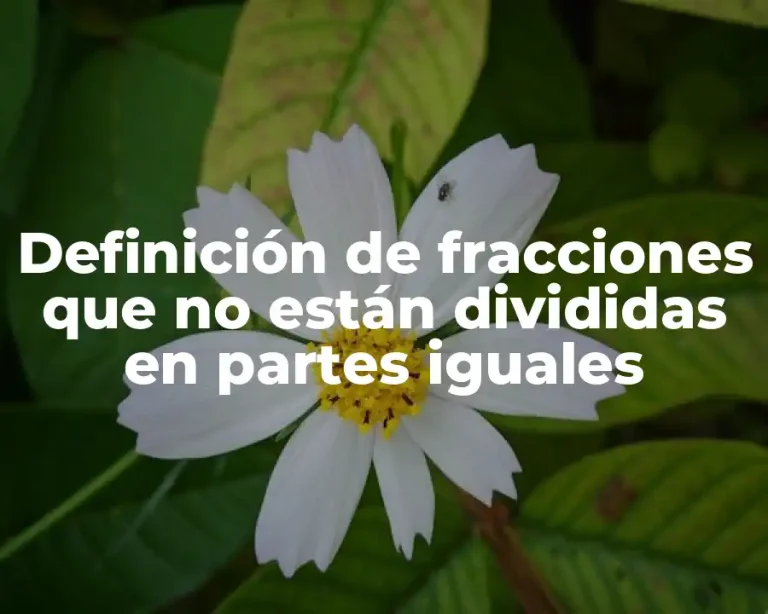 Definición de fracciones que no están divididas en partes iguales