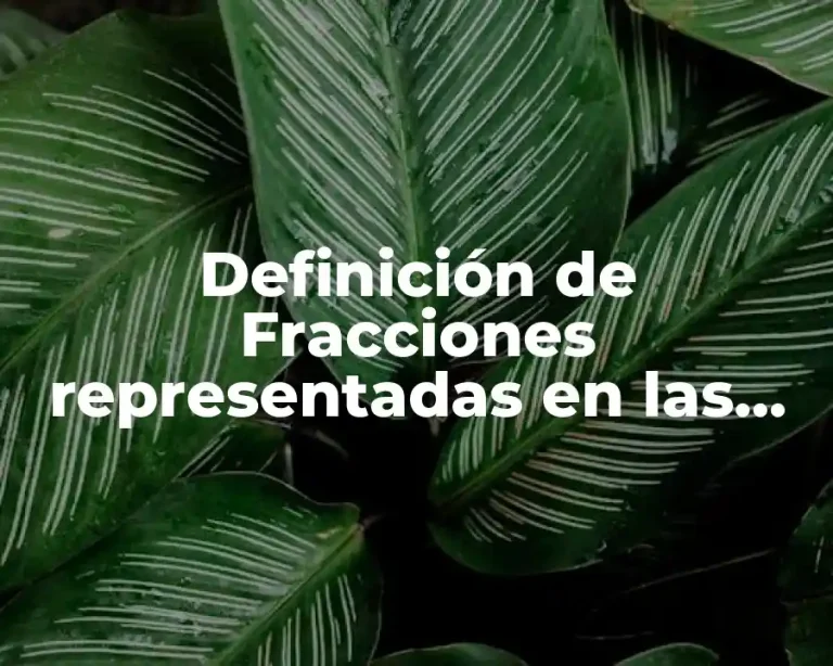 Definición de Fracciones representadas en las superficies quinto año