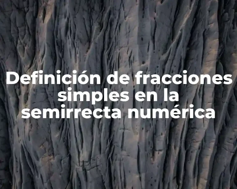 Definición de fracciones simples en la semirrecta numérica