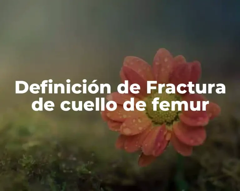Definición de Fractura de cuello de femur