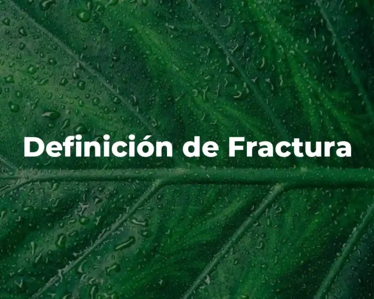 Definición de Fractura