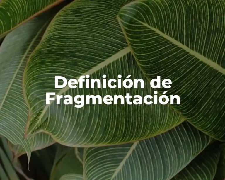 Definición de Fragmentación