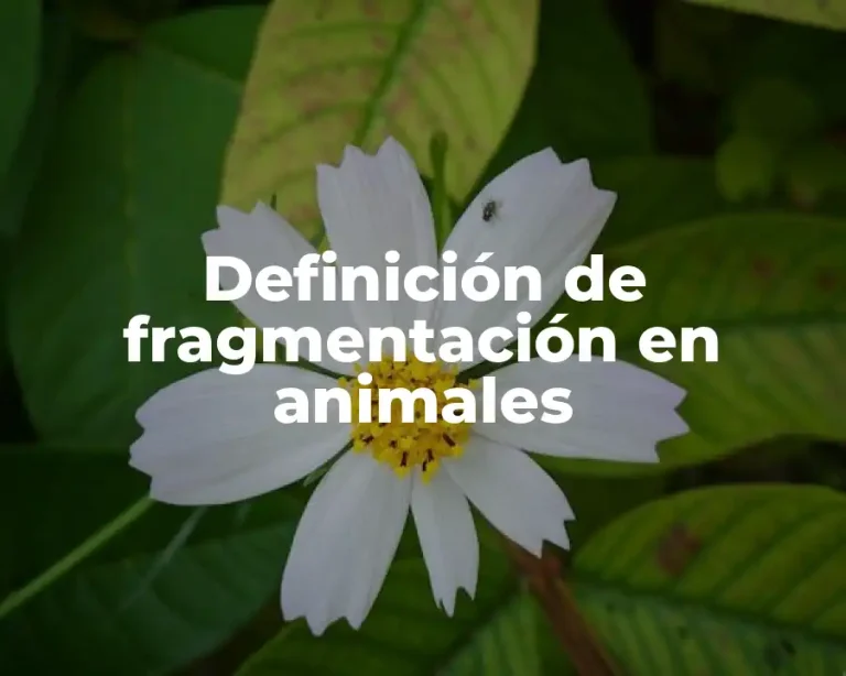 Definición de fragmentación en animales