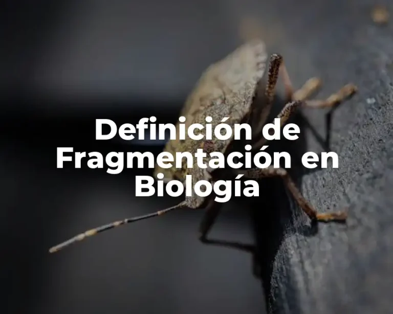 Definición de Fragmentación en Biología