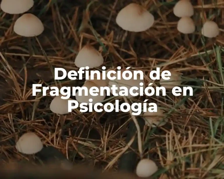 Definición de Fragmentación en Psicología