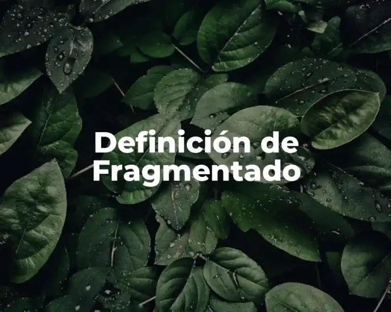 Definición de Fragmentado