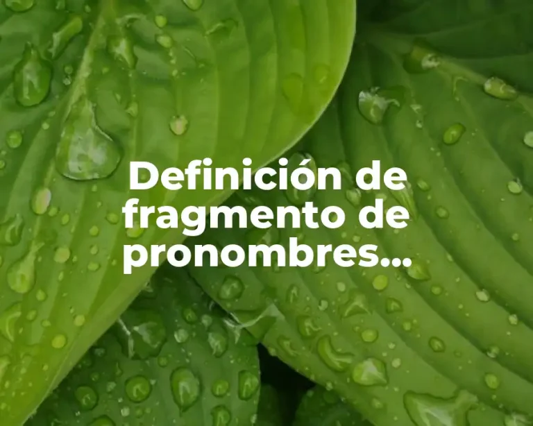 Definición de fragmento de pronombres demostrativos de la N96+