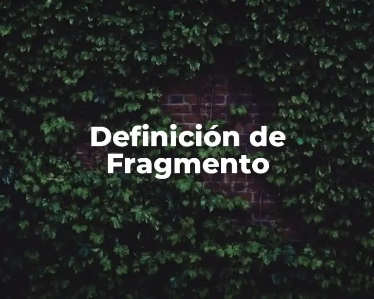 Definición de Fragmento