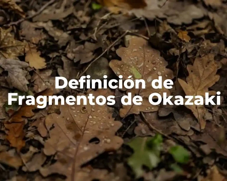 Definición de Fragmentos de Okazaki