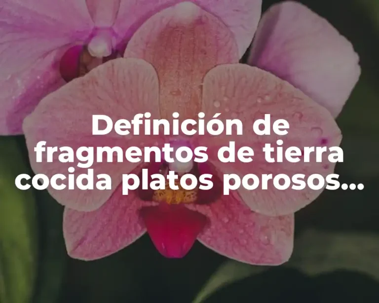 Definición de fragmentos de tierra cocida platos porosos machacados