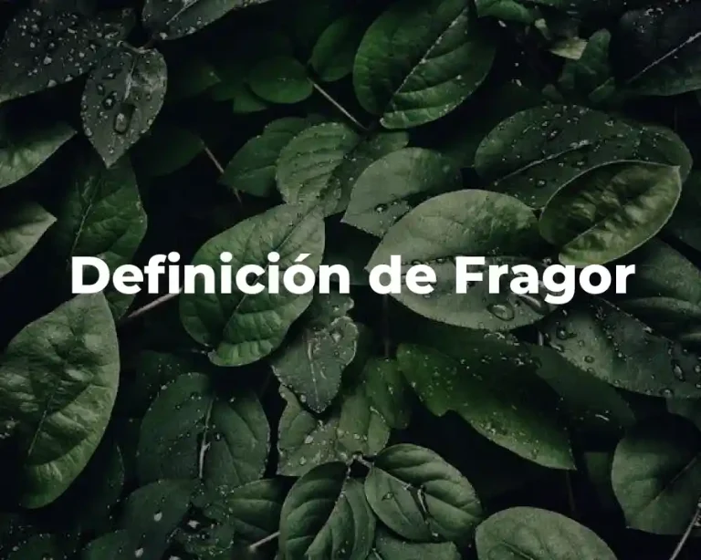 Definición de Fragor
