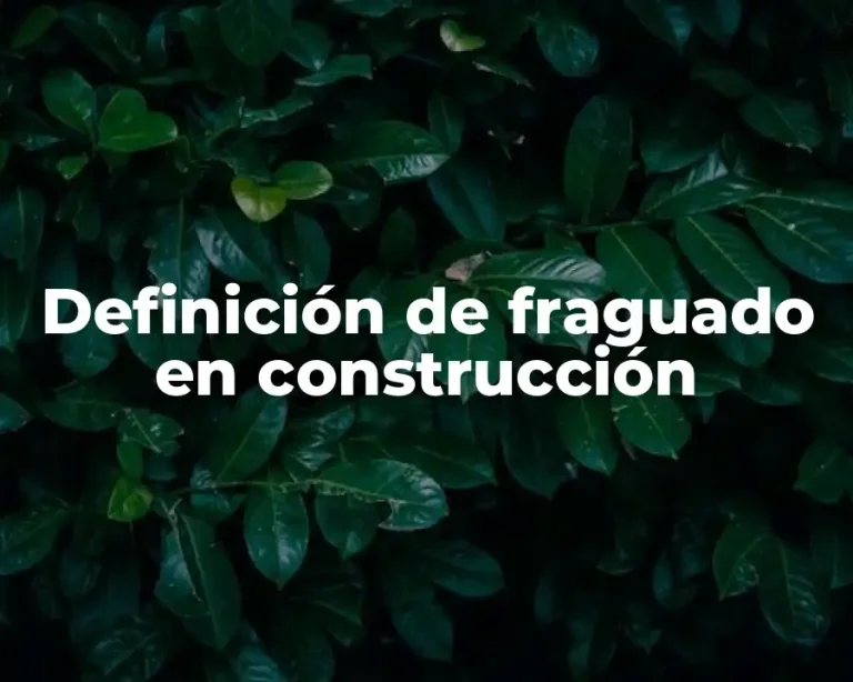 Definición de fraguado en construcción
