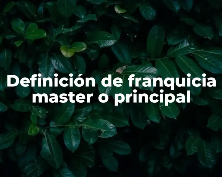 Definición de franquicia master o principal