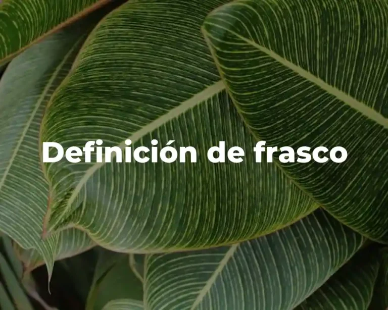 Definición de frasco