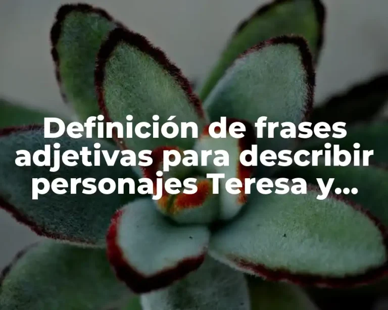 Definición de frases adjetivas para describir personajes Teresa y Alfredo