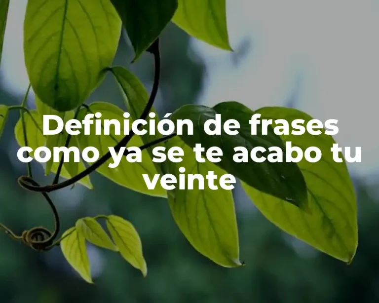 Definición de frases como ya se te acabo tu veinte