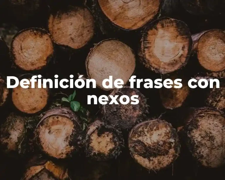 Definición de frases con nexos