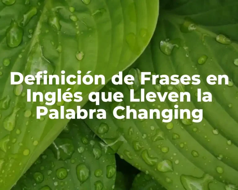 Definición de Frases en Inglés que Lleven la Palabra Changing