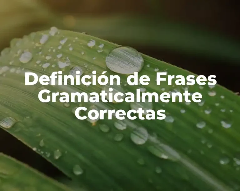 Definición de Frases Gramaticalmente Correctas