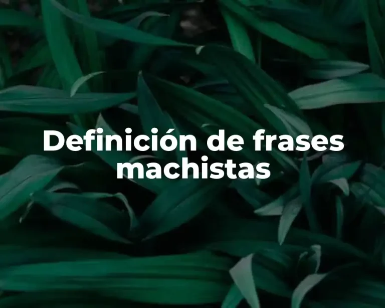 Definición de frases machistas