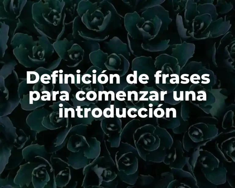 Definición de frases para comenzar una introducción