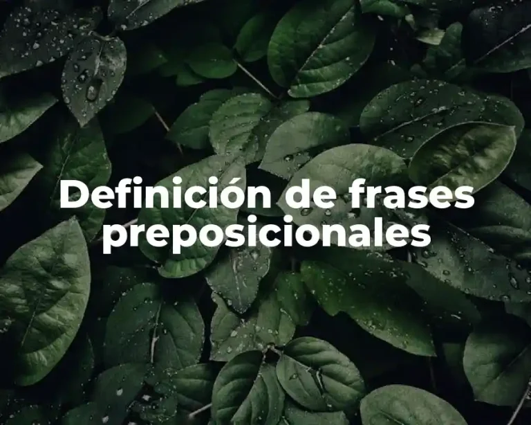 Definición de frases preposicionales