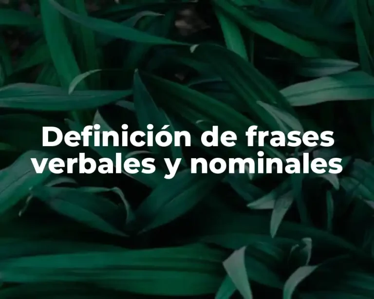 Definición de frases verbales y nominales