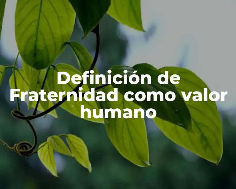 Definición de Fraternidad como valor humano