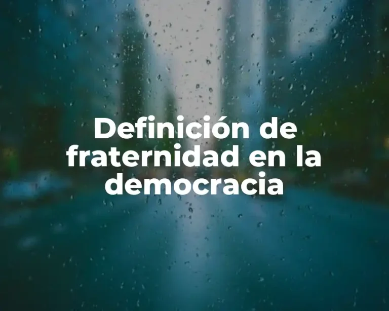 Definición de fraternidad en la democracia