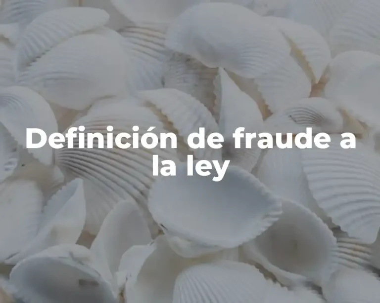 Definición de fraude a la ley