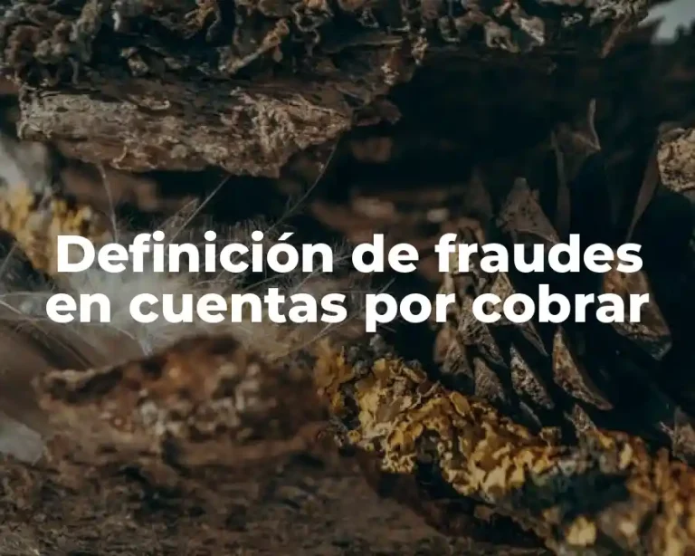 Definición de fraudes en cuentas por cobrar