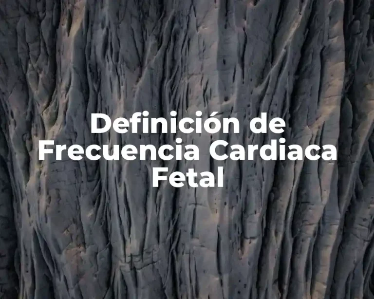 Definición de Frecuencia Cardiaca Fetal