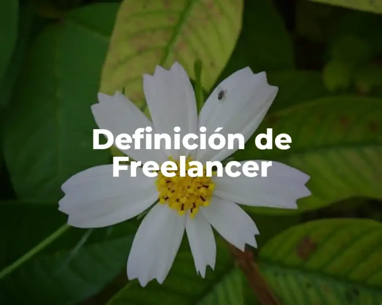 Definición de Freelancer