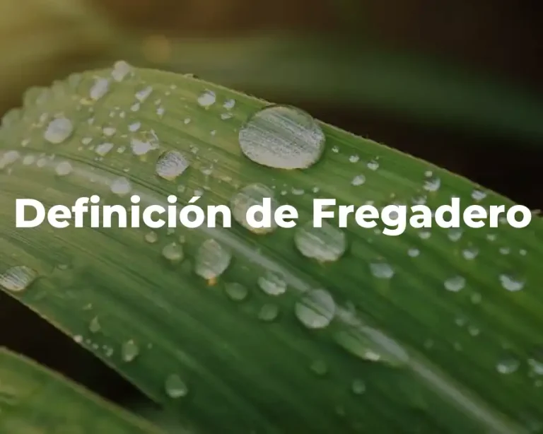 Definición de Fregadero