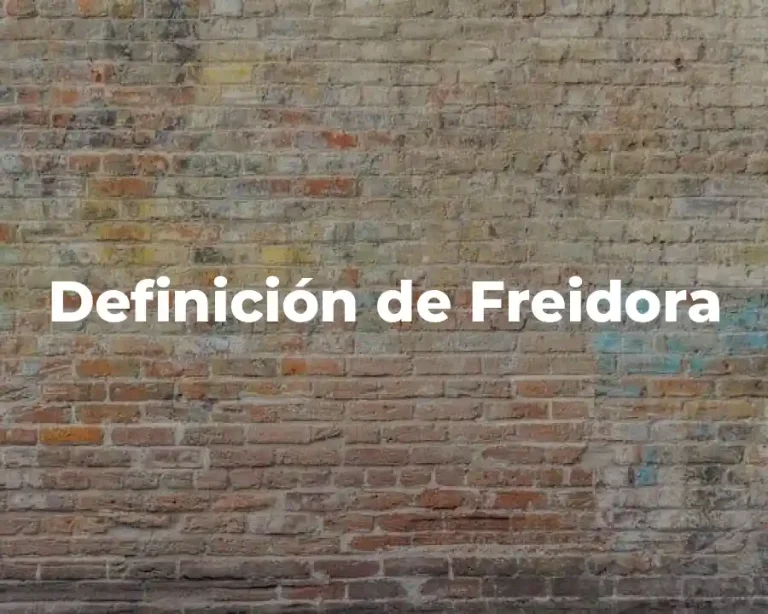 Definición de Freidora