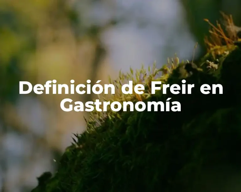 Definición de Freir en Gastronomía