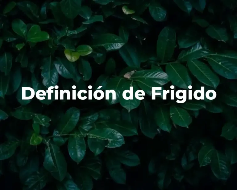Definición de Frigido