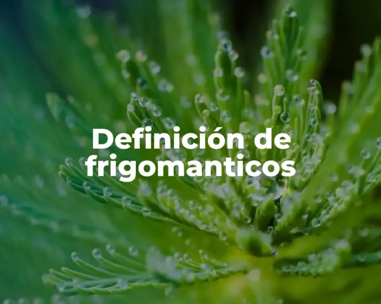 Definición de frigomanticos