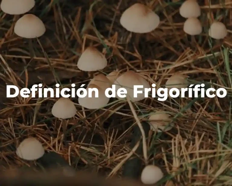 Definición de Frigorífico