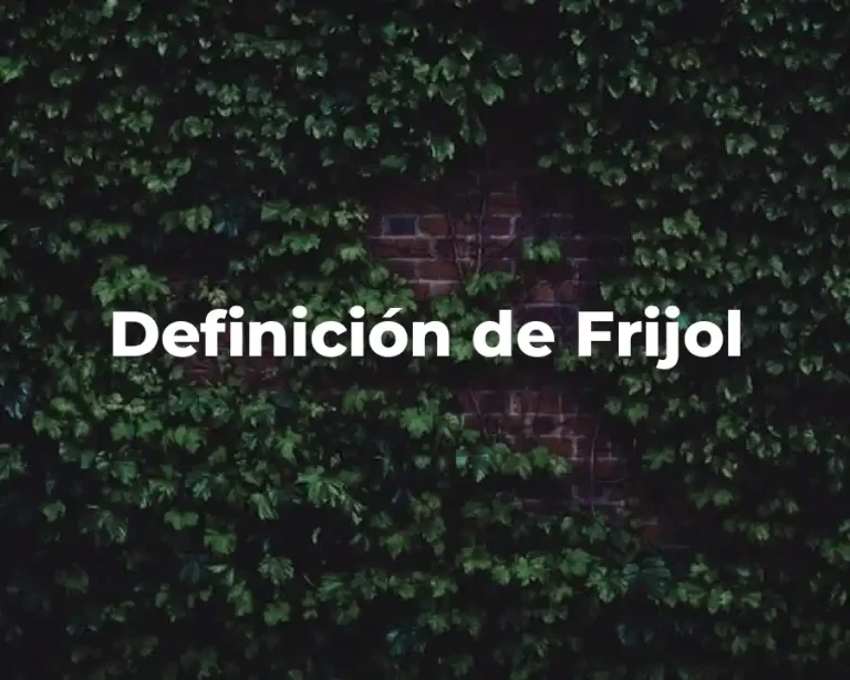 Definición de Frijol