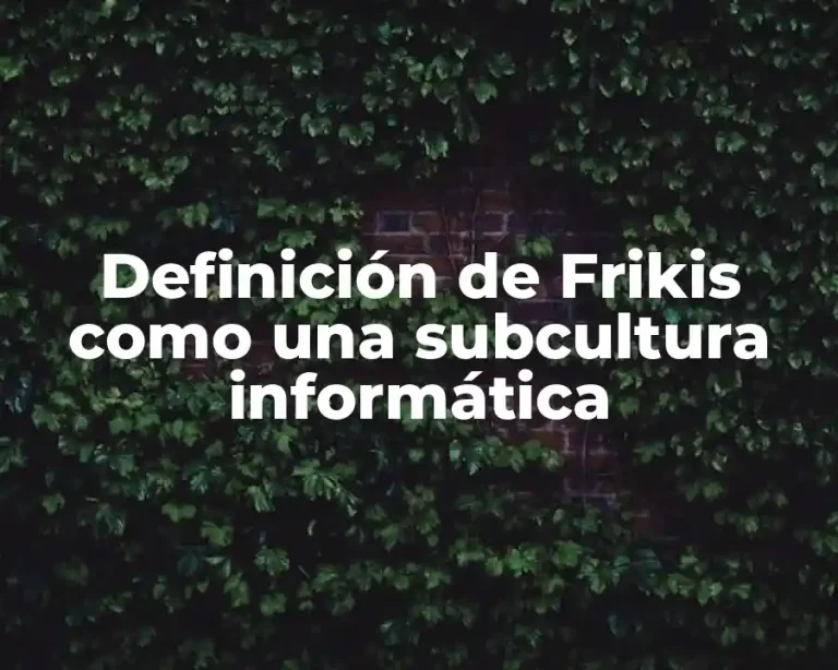 Definición de Frikis como una subcultura informática
