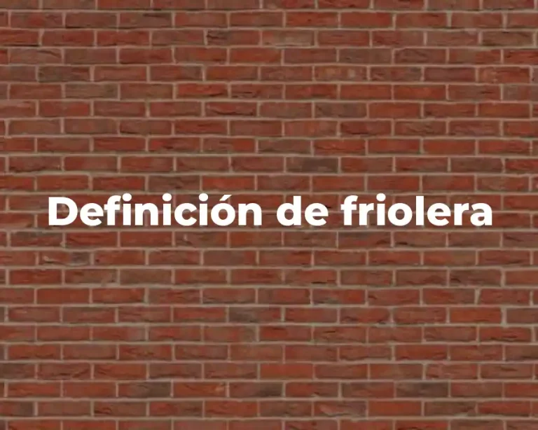 Definición de friolera
