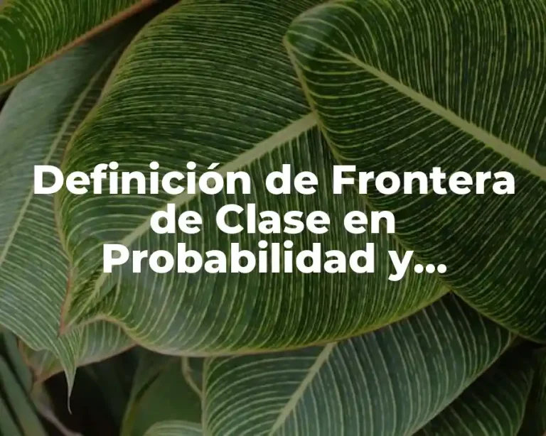 Definición de Frontera de Clase en Probabilidad y Estadística