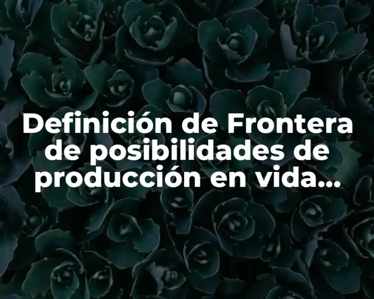 Definición de Frontera de posibilidades de producción en vida cotidiana