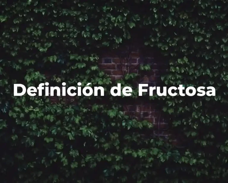 Definición de Fructosa