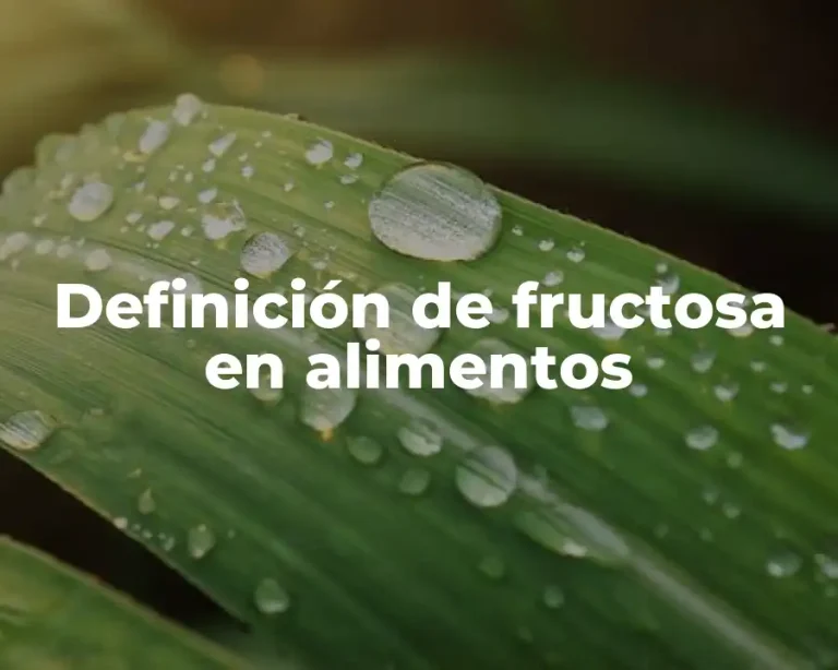 Definición de fructosa en alimentos