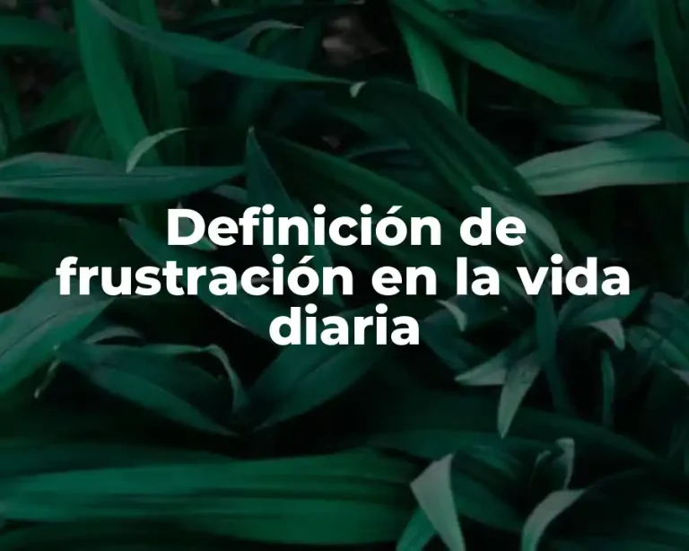 Definición de frustración en la vida diaria